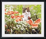 Plaid 21701 Paint By Number Kit, Cat's Garden, 16-Inch by 20-Inch