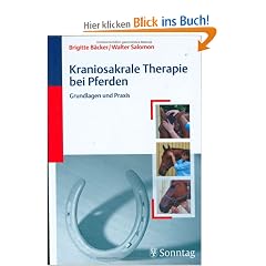 Kraniosakrale Therapie bei Pferden: Grundlagen und Praxis