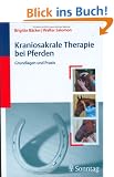 Kraniosakrale Therapie bei Pferden: Grundlagen und Praxis