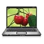 HP Pavilion dv9000t 17-Inch Laptop Notebook