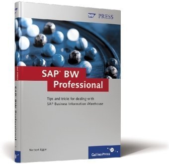 SAP BW Professional