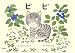 ビビ
