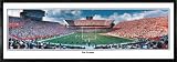 Florida Gators Ben Hill Griffin Stadium Panoramic Print The Swamp Unframed