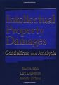 Intellectual Property Damages: Guidelines and Analysis, 2004 Supplement