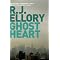 R.J.Ellory - Dark Side Crime Thriller Reading.