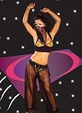 9401 Sexy Belly Dancer Costume