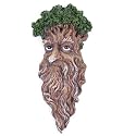Legends of Avalon Tree Man Plaque - Face Head On
