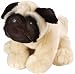 Plush Pugglesbee Pug Dog Cuddlekin 12