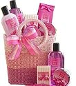 Pomegranate Paradise Pink Purse Spa Set - Bath and Body Gift Basket