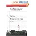 GradeSaver (tm) ClassicNotes Wide Sargasso Sea Study Guide
