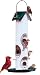 Varicraft AV4M Large Capacity2 Quart Mixed Seed Bird Feeder With Seed Tray