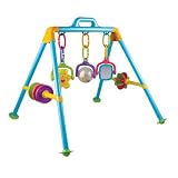 Activity Play Gym by