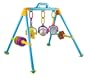 Activity Play Gym