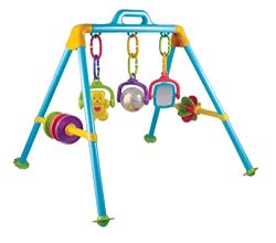 Activity Play Gym