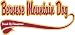 Bernese Mountain Dog Breed of Champion T-Shirt