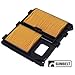 Honda Engine GX620 Old Style Air Filter Part No: A-B1AF129, 17010ZJ1000, 17211ZJ1000