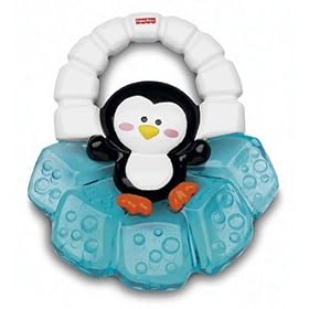 Fisher Price Water Teether - Penguin
