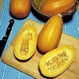Hasta la Pasta Spaghetti Squash 8 Seeds - Sweet - Veggie - B000VAVKKI
