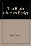 The human body: the brain