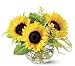 Yellow Flowers Bouquet Teleflora's Sassy Sunflowers