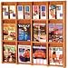 12 Magazine/24 Brochure Oak & Acrylic Wall Rack, Medium Oak Finish