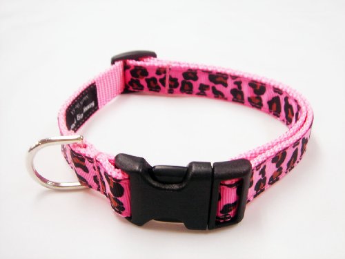 Small Fruit Punch Leopard Dog Collar: 5/8