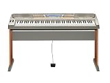Casio WK-8000 88 Key Keyboard with Stand and Power Supply