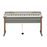 Casio WK-8000 88 Key Keyboard with Stand and Power Supply