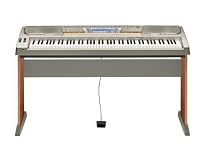 Casio WK-8000 88 Key Keyboard with Stand and Power Supply