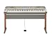 Musical Instruments : Casio WK-8000 88 Key Keyboard with Stand and Power Supply