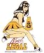 Almost Legal - Sticker / Decal