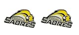 Buffalo Sabres - NHL Team Logo Post Earrings