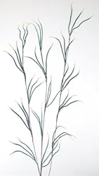 Green Earth Accents Claw Flowers 36" Tall, Pack of 3 - Green White