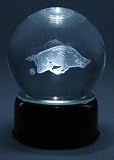 ARKANSAS RAZORBACKS ETCHED GLOBE