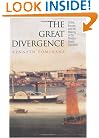 The Great Divergence: China, Europe, and the Making of the Modern World Economy.