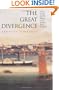 The Great Divergence: China, Europe, and the Making of the Modern World Economy.
