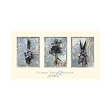 41jMIQwwfDL. SL160  Garden Tools & Flowers Poster Print