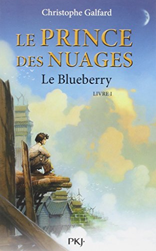 1. Le Prince des Nuages : Le Blueberry