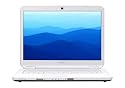 Sony VAIO 15.4-inch NS30E/W Laptop, Intel Pentium T4200, 3 GB RAM, 250 GB HDD, DVDRW, WXGA Vista Home Premium (White)