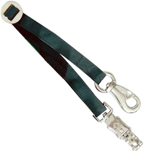 Intrepid International Trailer Tie for Horse Hauling