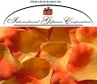 1000 Silk Rose Petals Wedding Favors - Two Tone - Light/Dark Orange