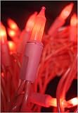 Review Everstar  / Set Of 70 Red Mini Fashion Christmas Lights With Red Wire #ES66-737