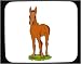Decorated Mouse Pad with colt, horse, equine