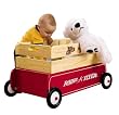 Radio Flyer Classic Toy Tote