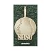 Sam Houston State Baseball Shsu Pendant (10kt)
