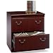 Bush Furniture Birmingham Executive 2 Drawer Lateral Wood File Cabinet in Harvest Cherry