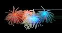 Play Vision Light Up Glow Urchin Ball
