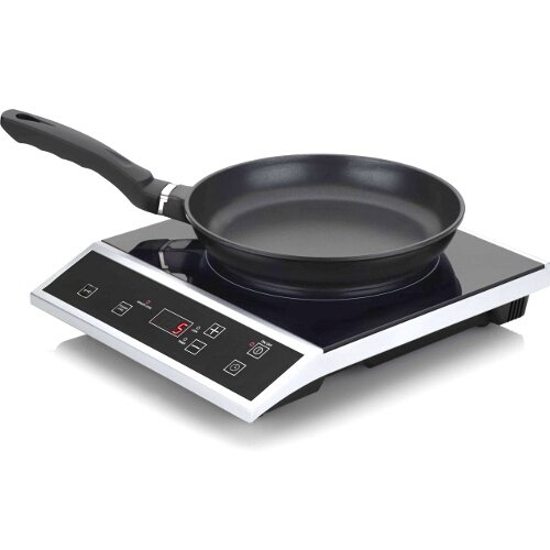 Fagor 670040610 EcoFriendly Portable Induction Cooktop Mookmojomi