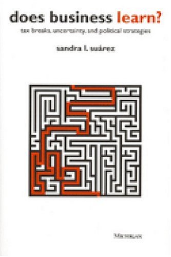 Does Business Learn?: Tax Breaks, Uncertainty, and Political Strategies
