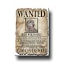 Irish Wolfhound Wanted Fridge Magnet
